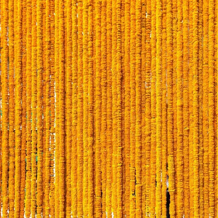 Guirlande de souci pour décoration 10 pièces de 5 pieds (1,52 m) ̃ fleurs de souci artificielles à longues brins, décor indien pour Pooja