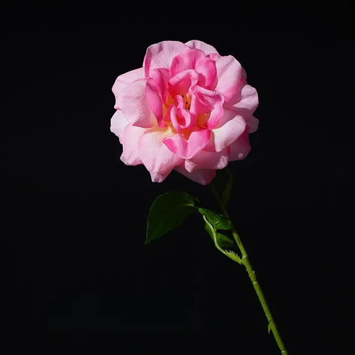 12 pièces de fleurs artificielles de haute qualité
