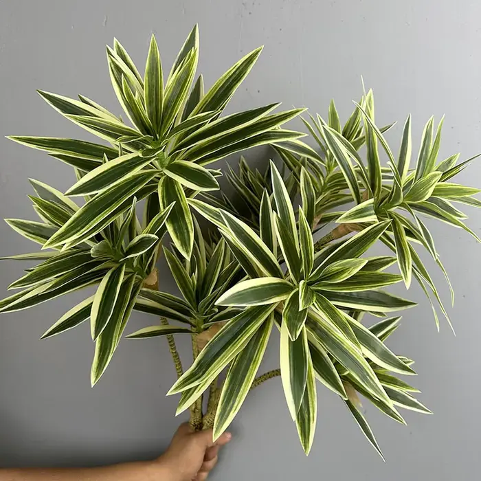 Plantes vertes simulées 3 têtes de bambou de lys décorées