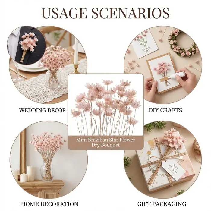 Mini bouquet de fleurs étoiles brésiliennes séchées