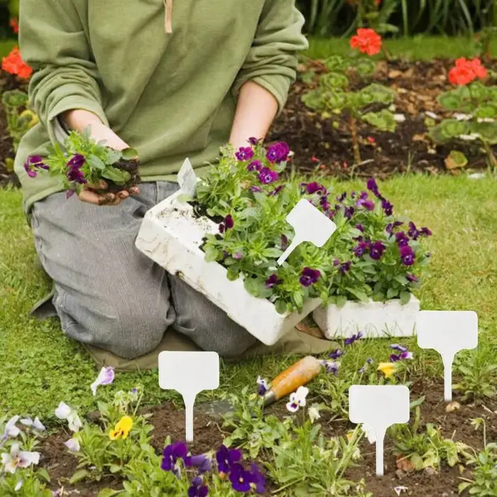 Étiquettes pour plantes de jardin