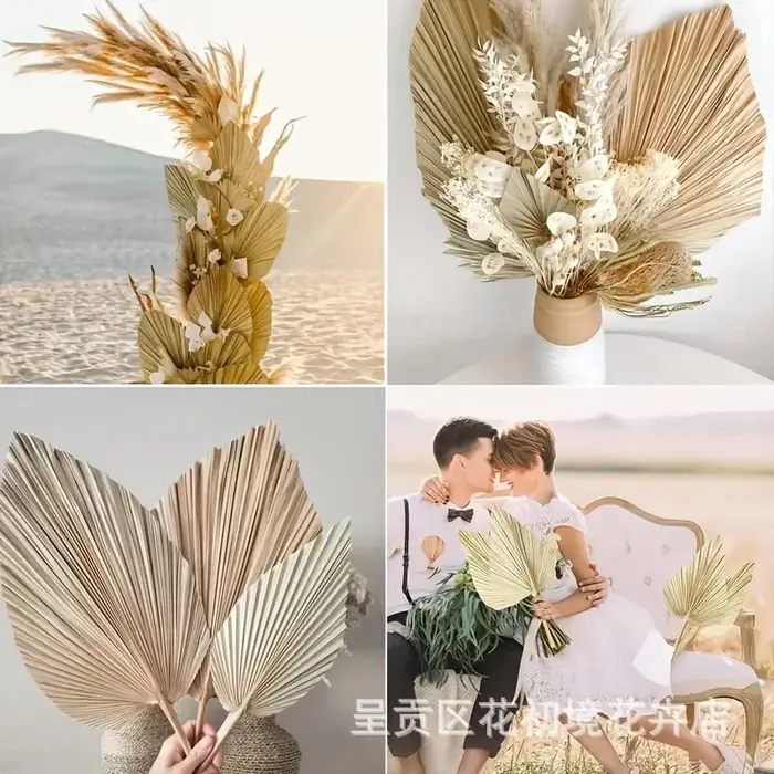 3 feuilles de palmier séchées naturelles