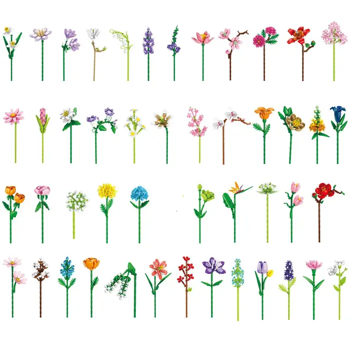 Bouquet de plantes en pot créatives