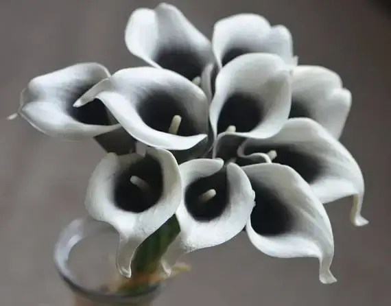 Fleurs artificielles DEXINFL Black Picasso, fausses lys calla au toucher réaliste, pour bouquets de 
