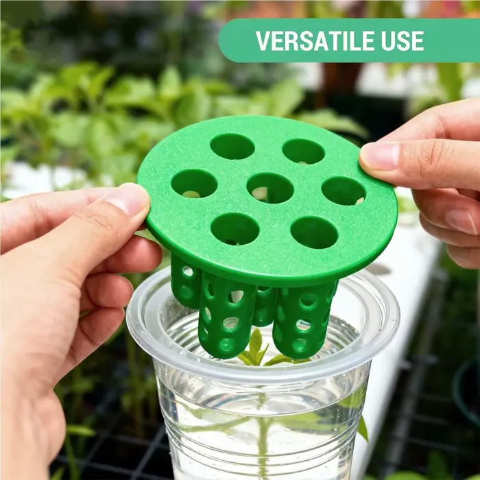 Pot de culture pour la reproduction des oignons verts