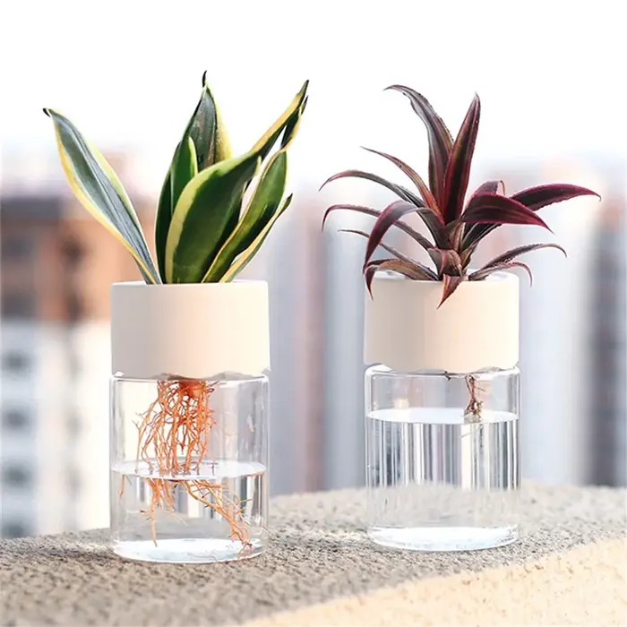 Mini Pot de fleur hydroponique, Vase décoratif de maison, Imitation verre Transparent, Pots de plant