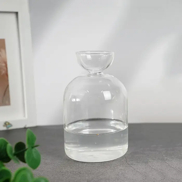 Vase de démarrage de graines d'avocat, Vase en verre Transparent pour plantes en croissance, Kit de culture de graines en verre pour les amateurs de jardinage