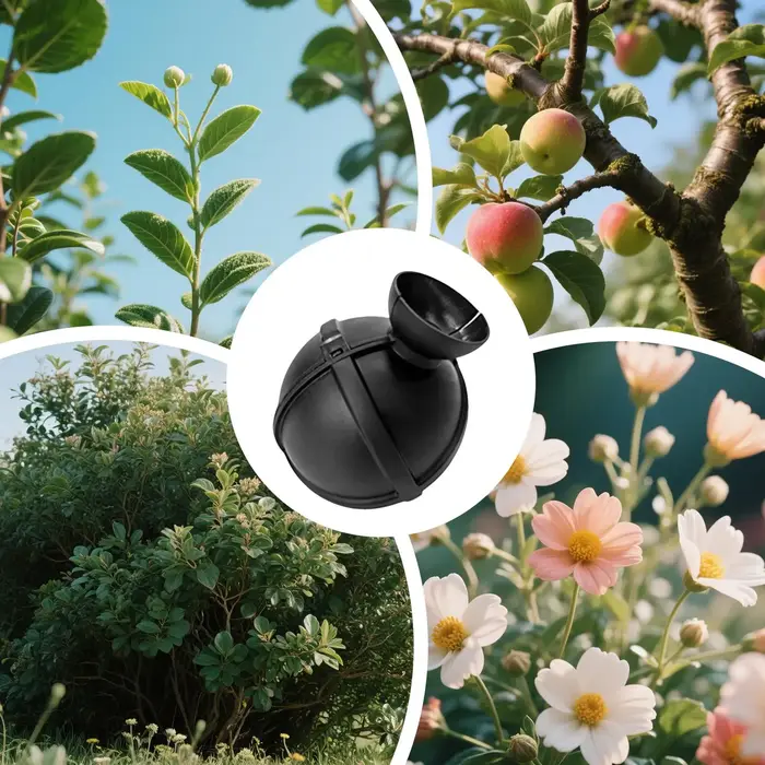 1 pièce Boîte de bouturage haute pression pour plantes