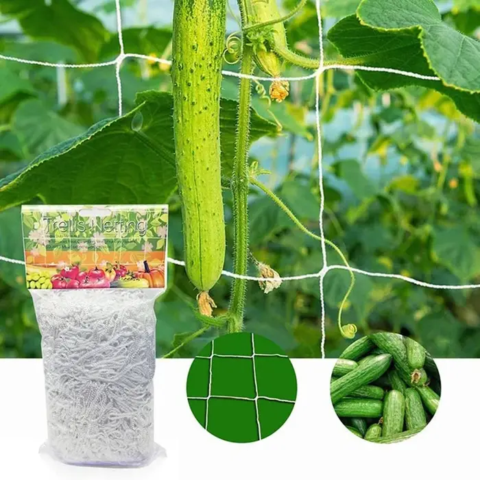 Filet d'escalade en polyester pour plantes de jardin