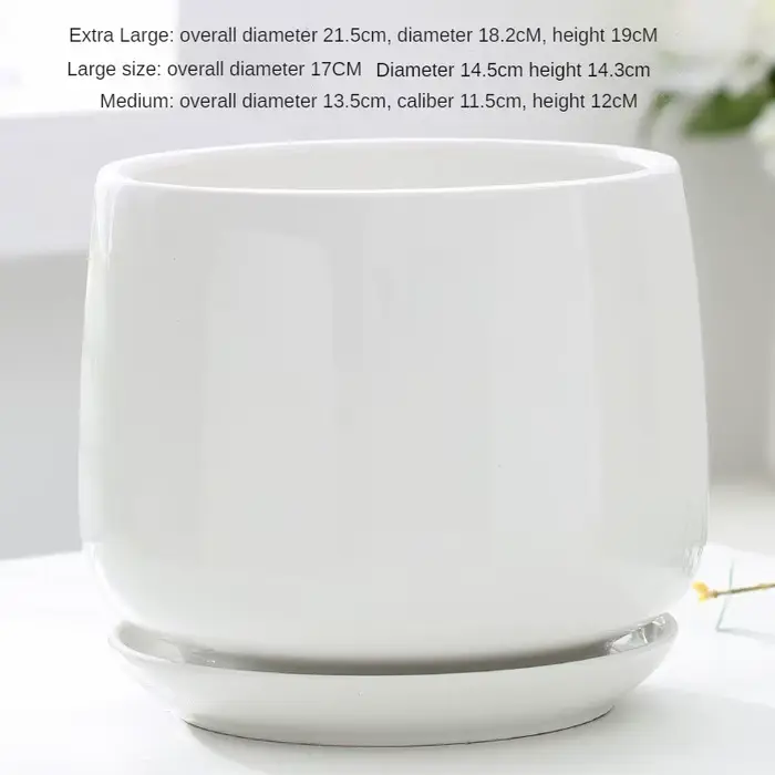 Pot de fleurs créatif en céramique