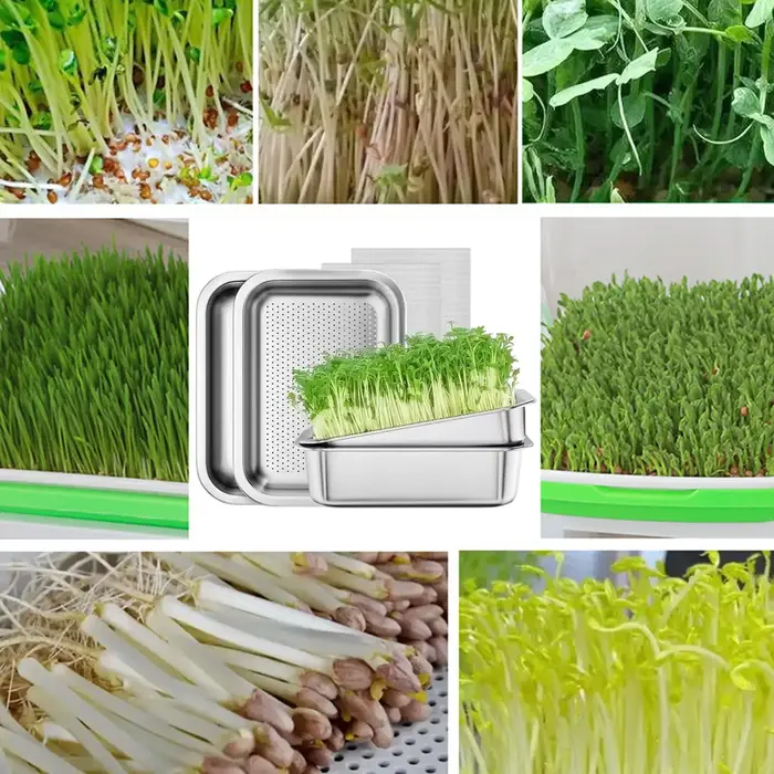 Plateau de culture de plantes