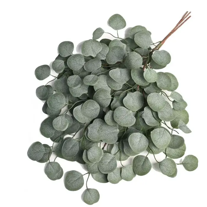 Nouvelle Guirlande de Feuilles d'Eucalyptus de 65 cm pour Décoration