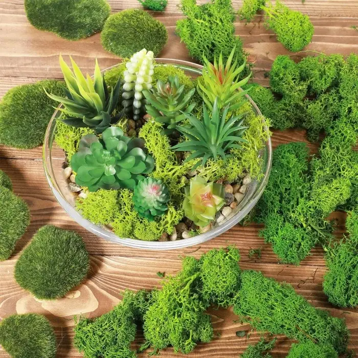 Nouvelles plantes vertes artificielles vie éternelle mousse herbe bricolage