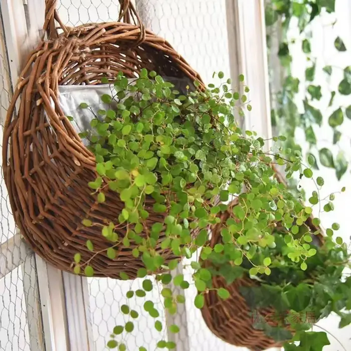 Jardinière de fleurs en rotin et osier faite à la main