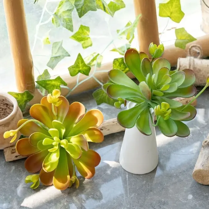 Plante succulente artificielle réaliste au toucher authentique