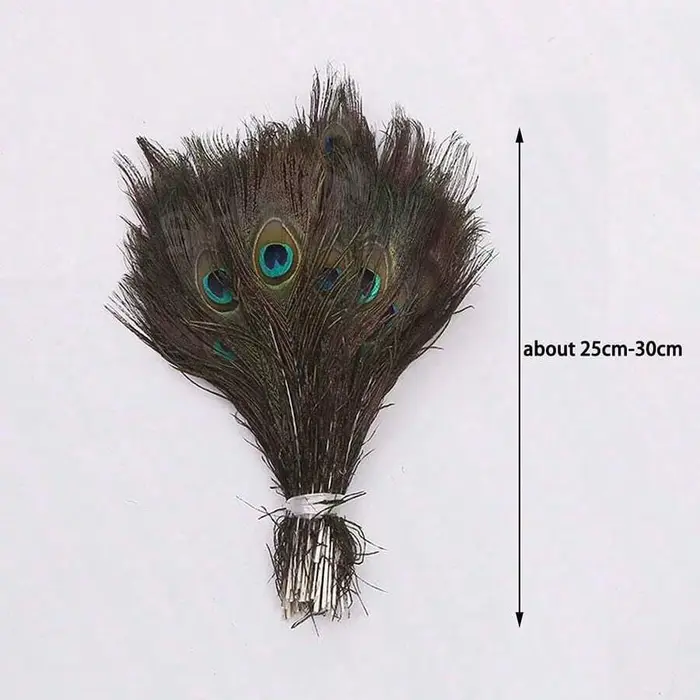 Plumes de paon naturelles 25-30cm