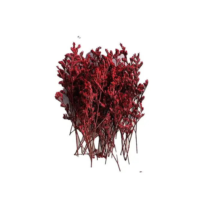 Kit de loisirs créatifs avec fleurs séchées, matériel floral décoratif pour l'ornementation artistique de la maison