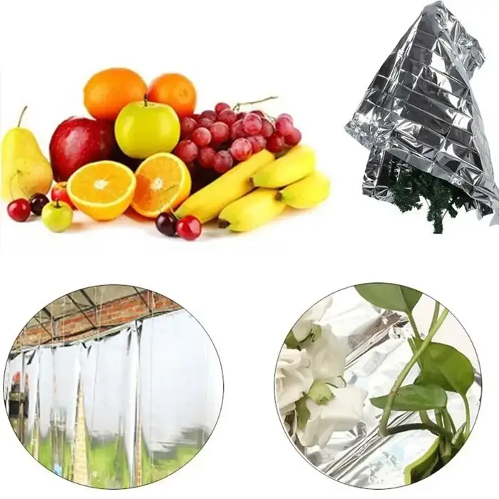 Film Mylar pour mur de jardin