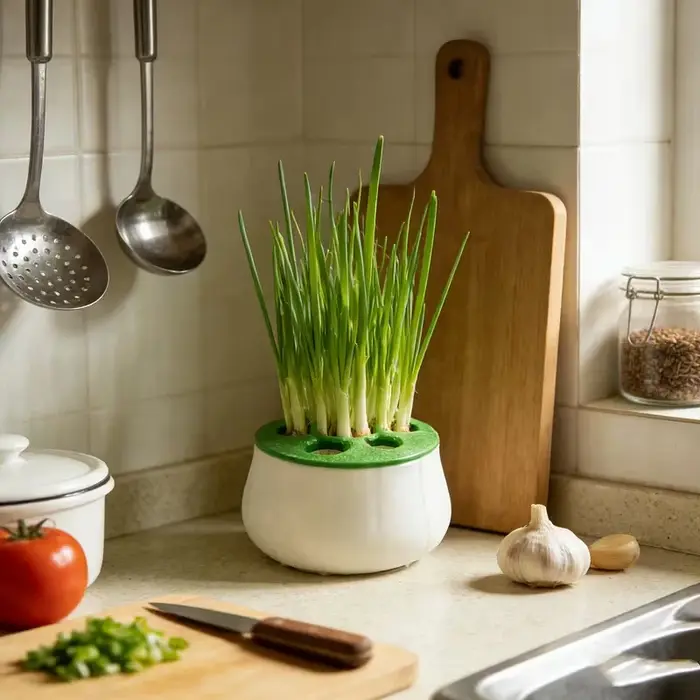 1 pot de repiquage pour oignon vert imprimé en 3D