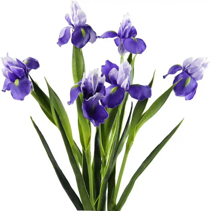 Fleurs d'iris artificielles pour mariage, décoration de fête de cuisine à domicile, 6 tiges longues 