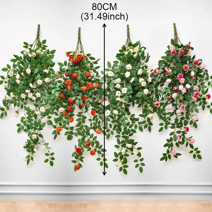 Plantes feuilles de Lierre vertes