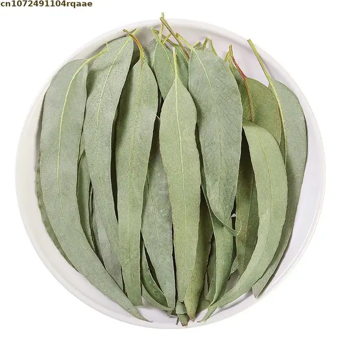 Feuilles d'eucalyptus séchées naturelles