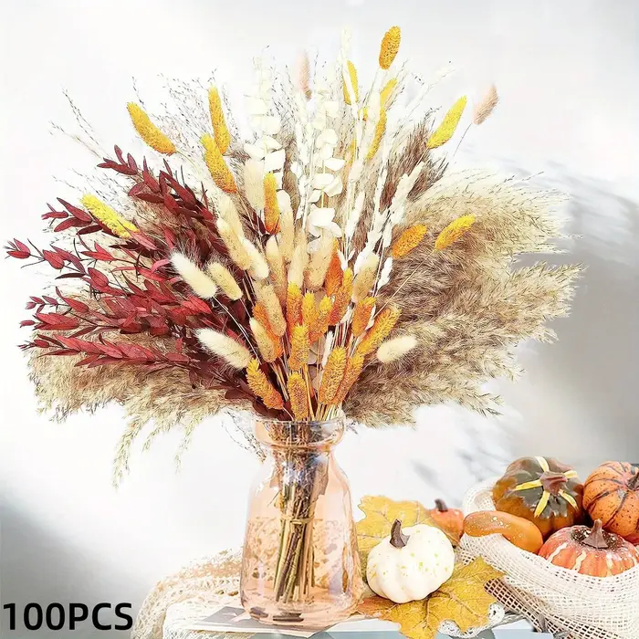 Fleurs séchées naturelles Pampas Gypsophila queue de lapin Bouquet maison salon décor fleur artificielle Pampa décorations de fête de mariage