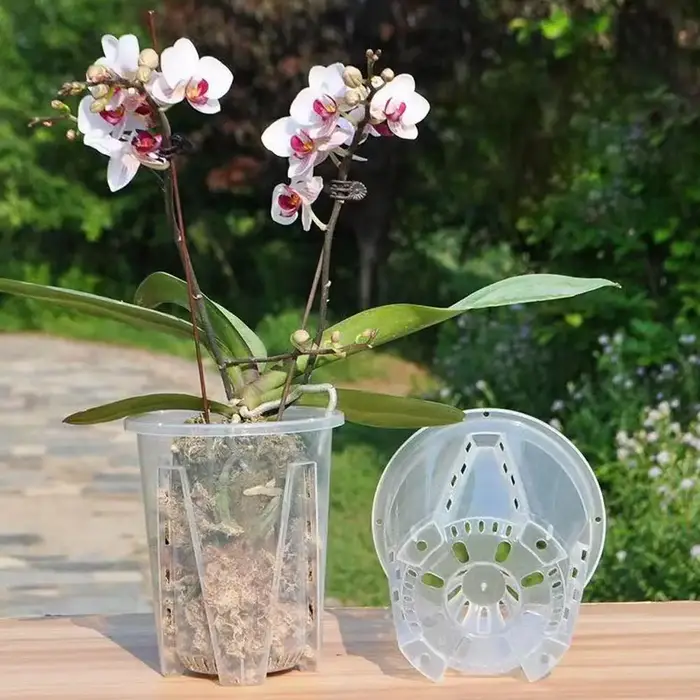 Nouveau pot de fleurs transparent en PP pour orchidées