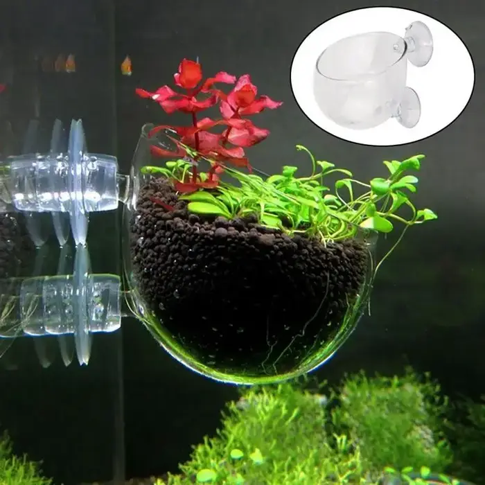 Pot d'Aquarium en Acrylique avec Ventouse pour Plantes d'Eau