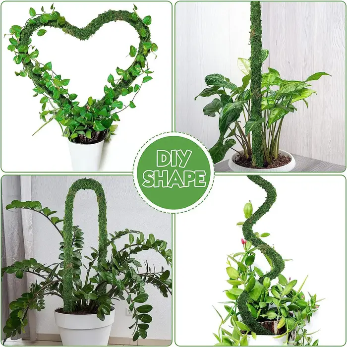 Poteau de mousse pliable pour plantes