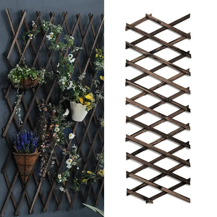 Extra Optics-Cadre d'escalade extensible pour plante