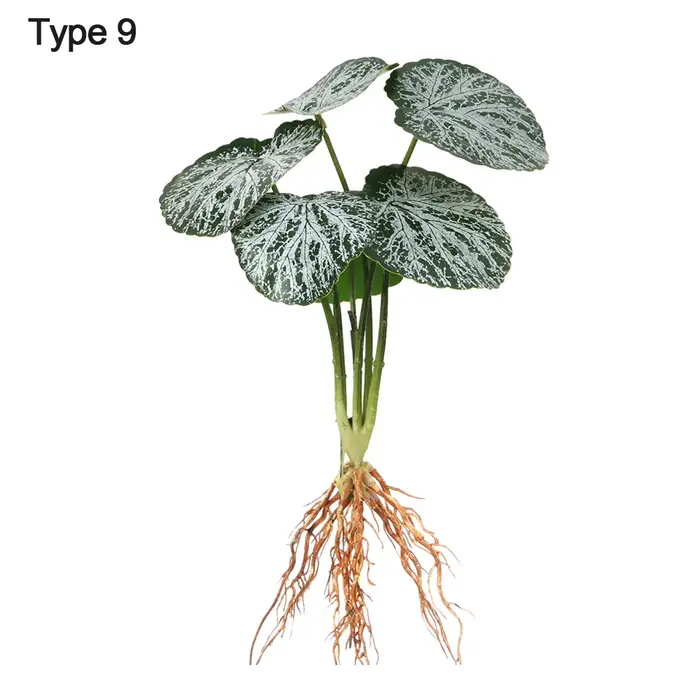 Verdure de simulation de plantes hydroponiques artificielles avec plante racine, mur, maison, bureau