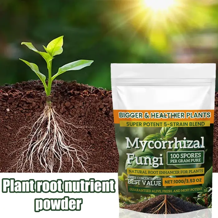 Rehausseur de racines pour plantes naturelles