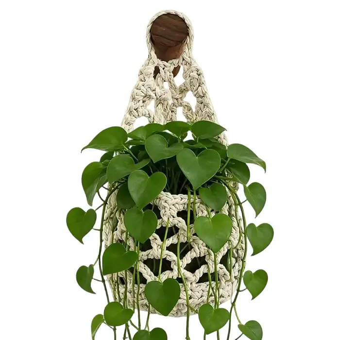 Panier suspendu en macramé bohème pour plantes succulentes