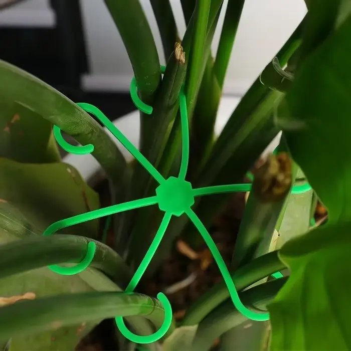 Clips de Support de tige de plante