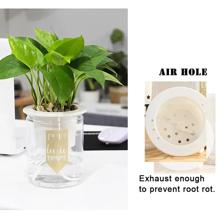 Mini Pot rond pour plantes succulentes