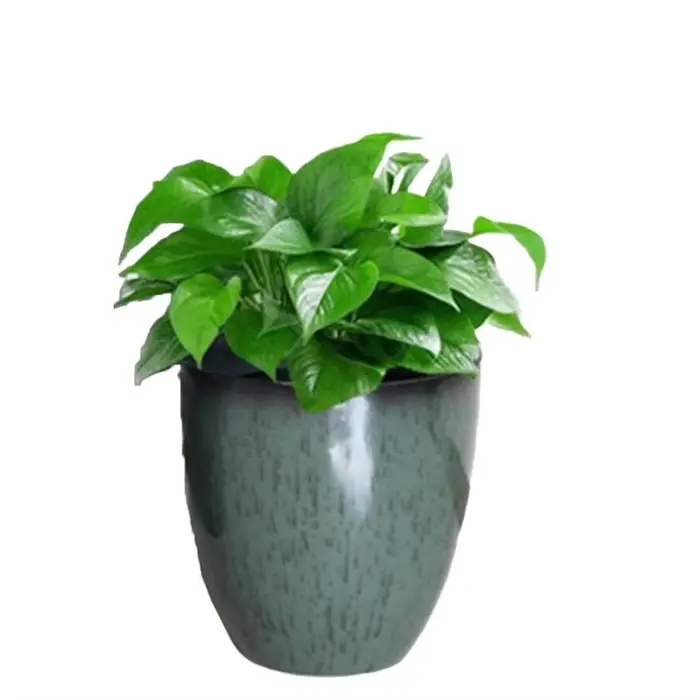 Plateau de Drainage Pot de fleur poubelle compacte comme Pot de plante ensemble de Pot