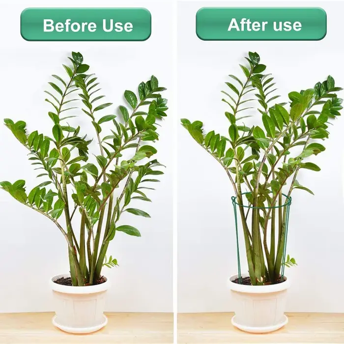 2 piquets de support robustes en métal pour plantes grimpantes