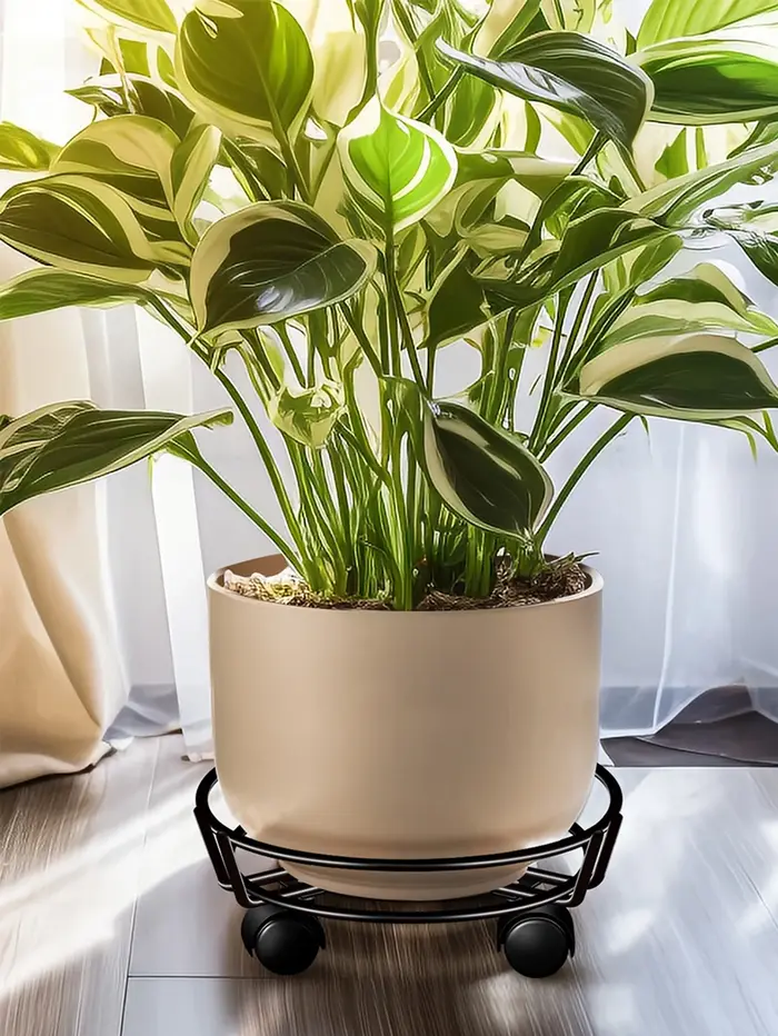Supports de plantes en métal noir, support de plantes robuste pour l'extérieur et l'intérieur, suppo