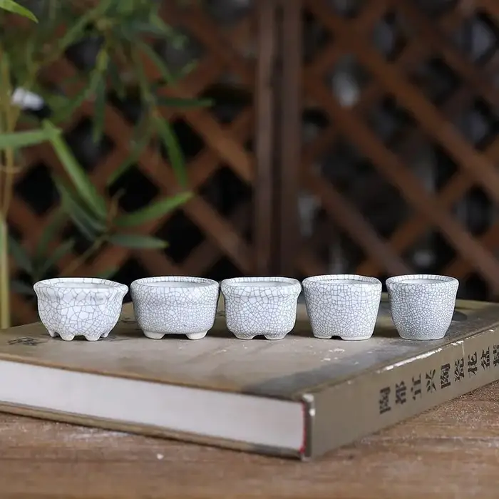 8 pièces de mini-pots de fleurs en céramique