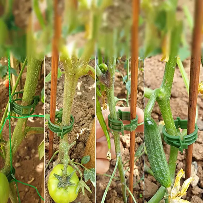 Clips de Support pour plantes