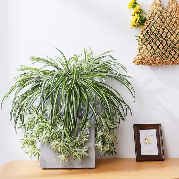Plantes artificielles factice combo publicité plastique