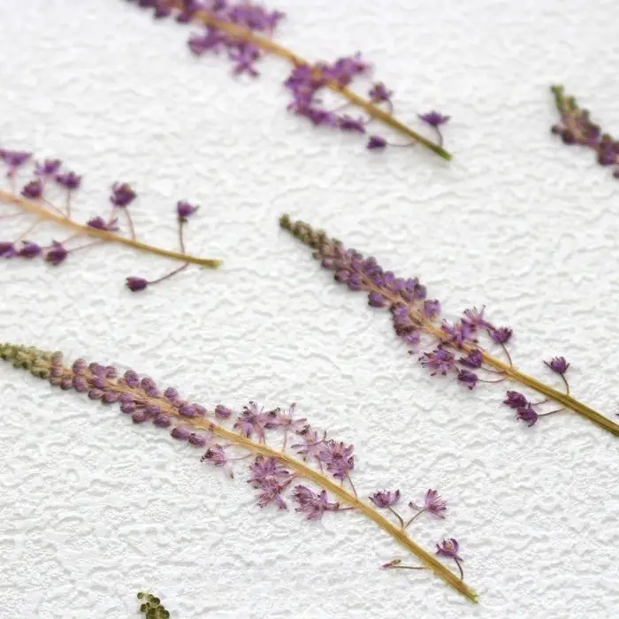 Fleur de Jujube en coton sauvage naturel