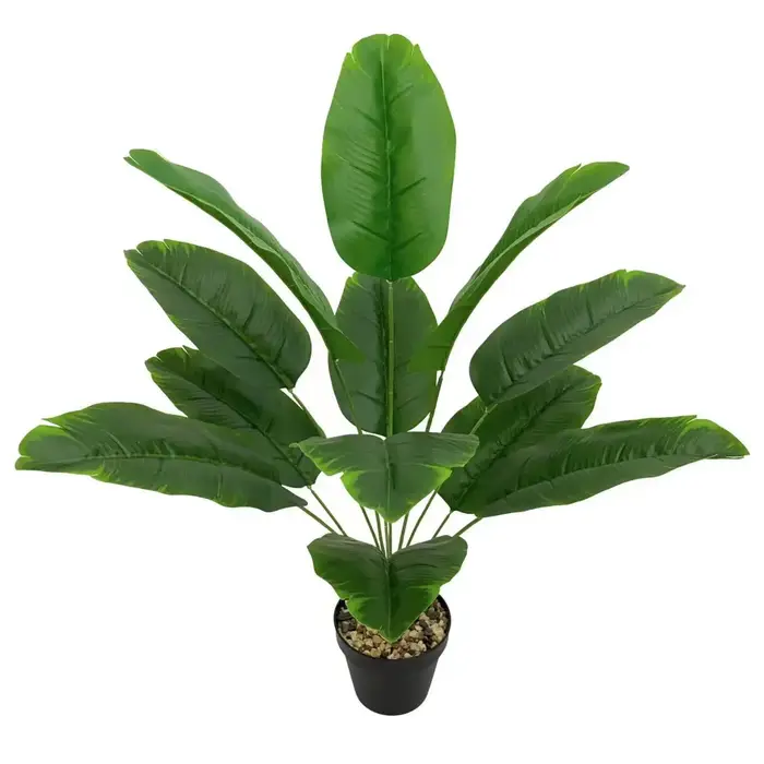Plantes artificielles sans bassin