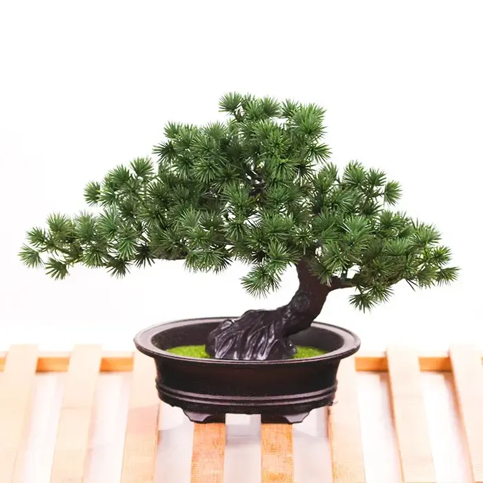 Plantes artificielles enrichies bonsaï