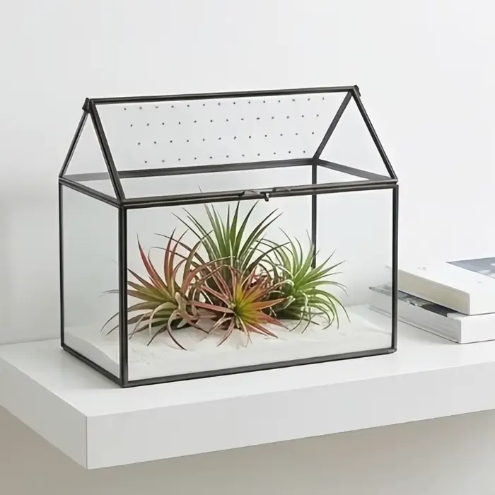 Boîte terrarium en verre pour exposition plantes