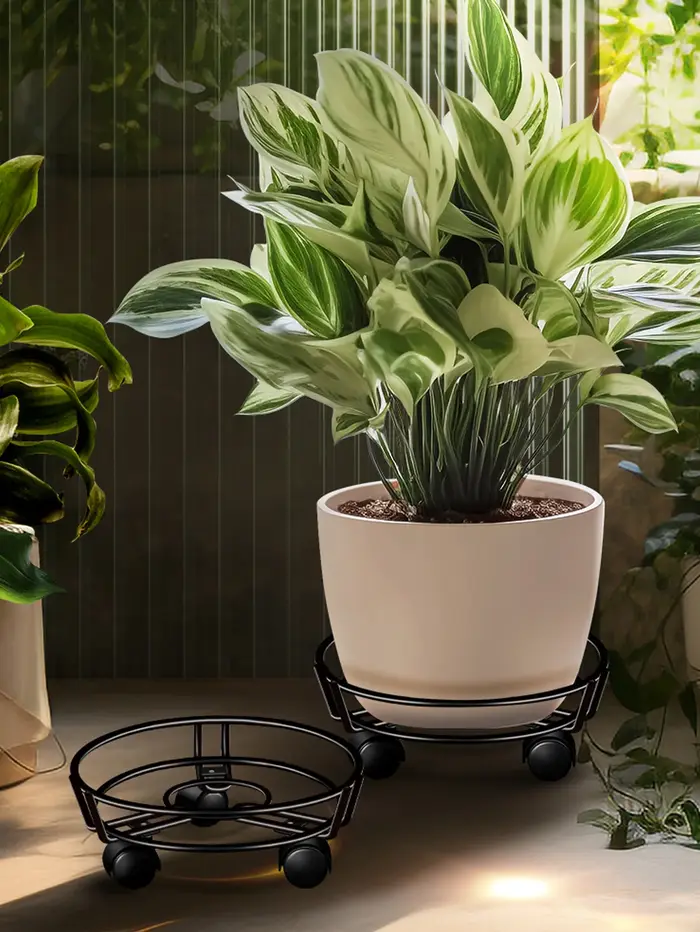 Supports de plantes en métal noir