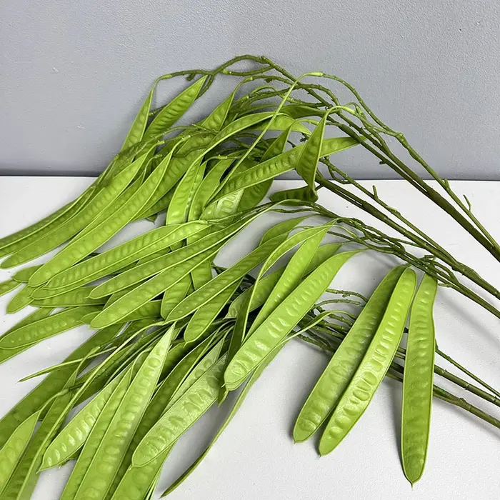 Haricots artificiels au toucher réel