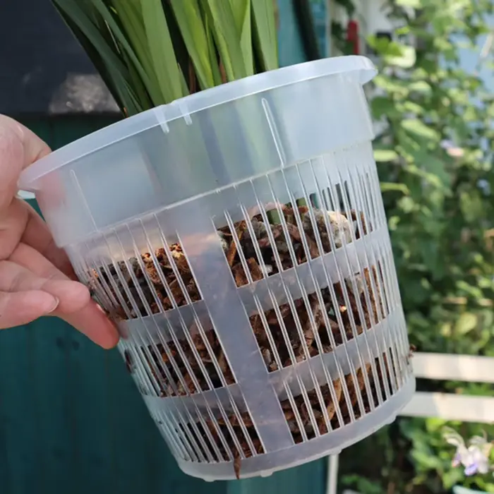 Pot d'orchidée avec soucoupes
