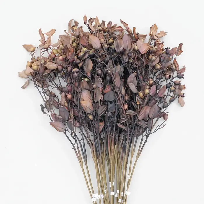 Branche de plante artificielle de baies brunes